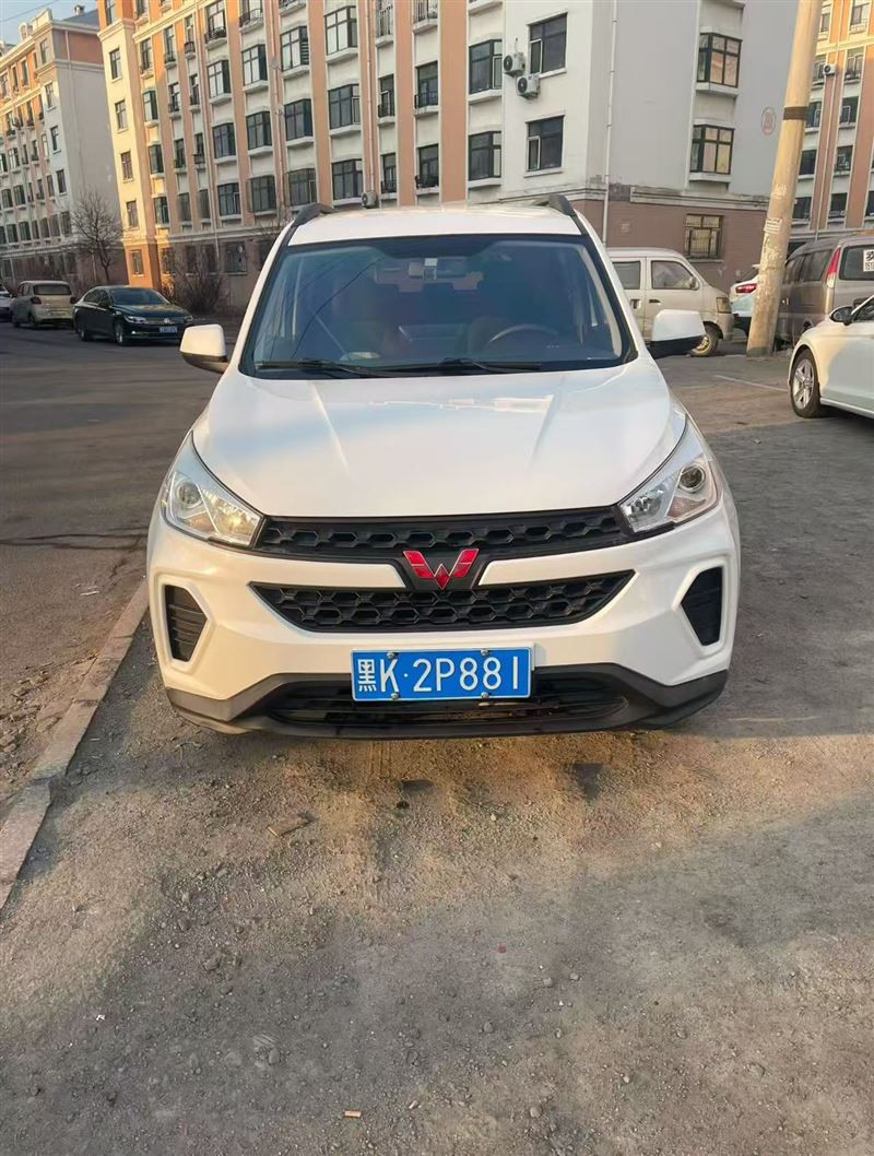 出售五菱宏光S3